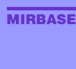 MIRBASE